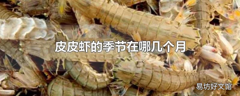 皮皮虾的季节在哪几个月