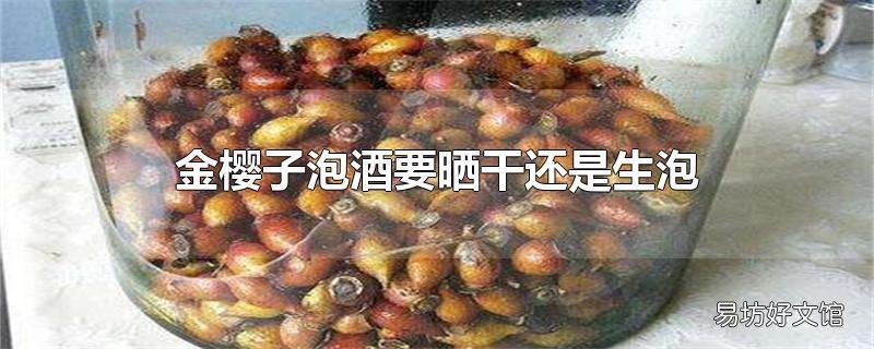 金樱子泡酒要晒干还是生泡