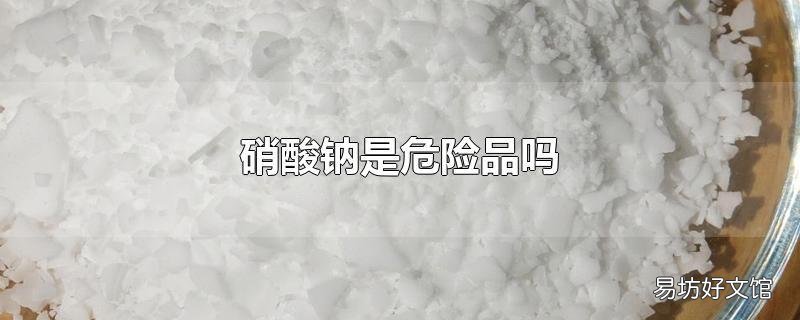 硝酸钠是危险品吗