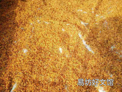 桂花做香囊怎么保存香味不散