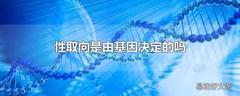 性取向是由基因决定的吗