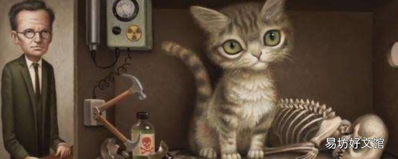 薛定谔的猫网络含义