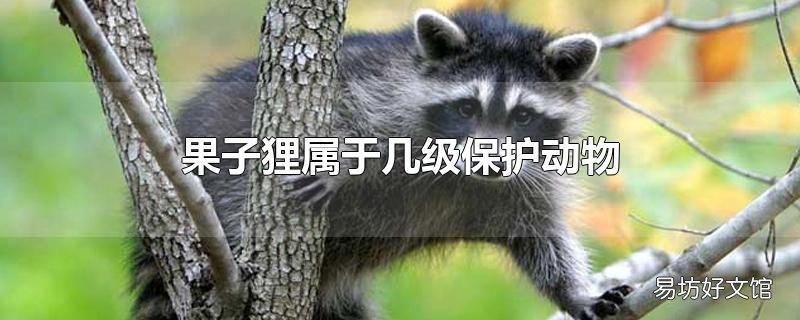 果子狸属于几级保护动物