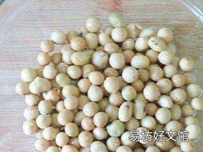 如何发黄豆芽