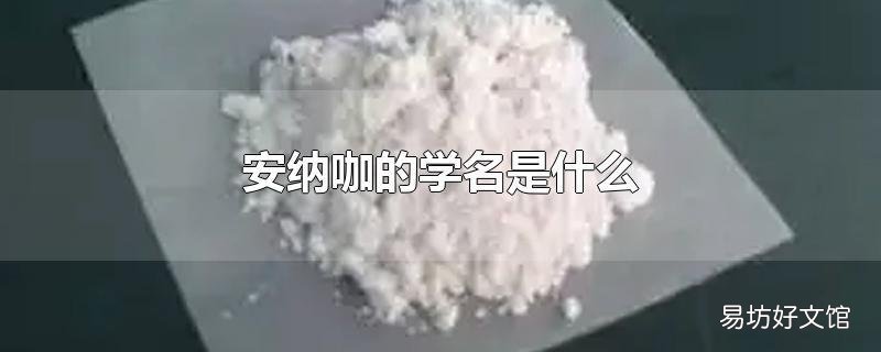 安纳咖的学名是什么