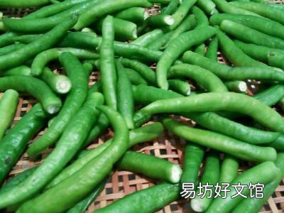 怎样腌制青辣椒不坏