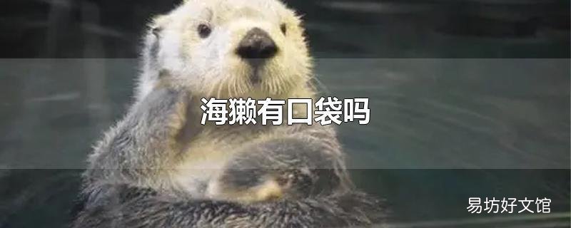 海獭有口袋吗