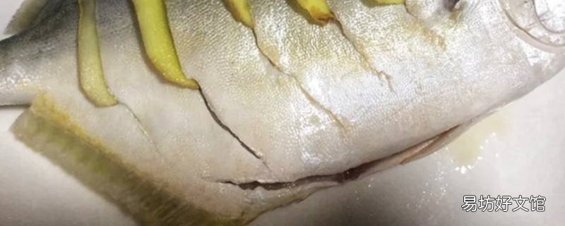 鱼肥油是什么部位