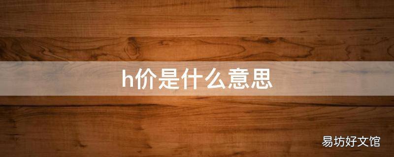 h价是什么意思