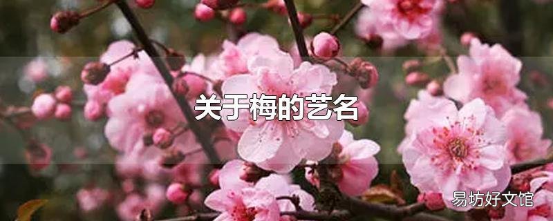 关于梅的艺名