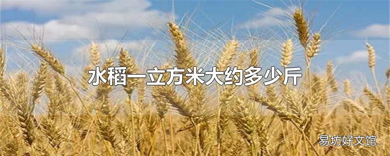 水稻一立方米大约多少斤