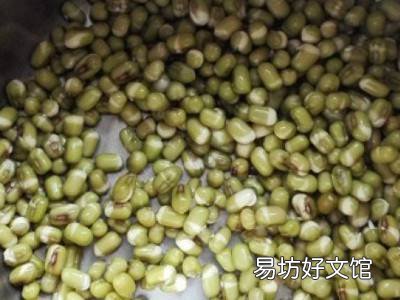 绿豆芽的制作方法与过程