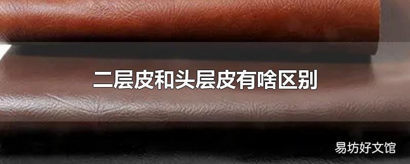 二层皮和头层皮有啥区别