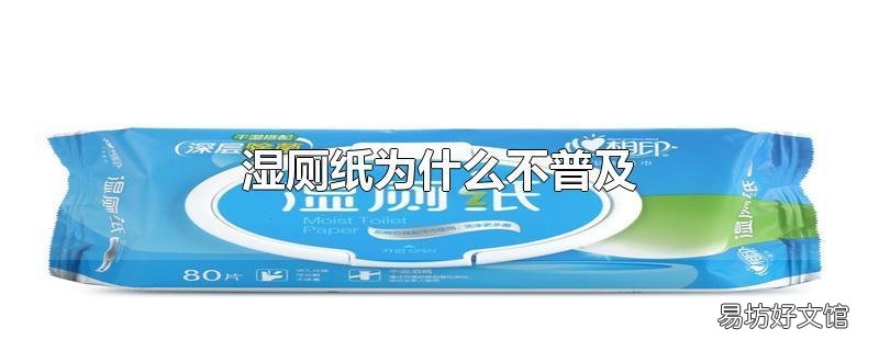 湿厕纸为什么不普及