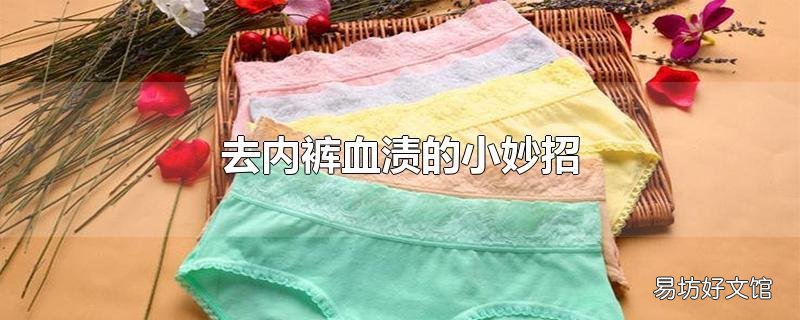 去内裤血渍的小妙招