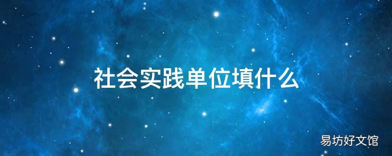 社会实践单位填什么