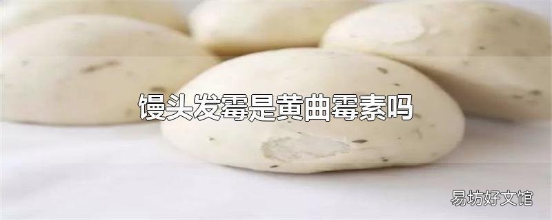 饅頭發霉是黃曲霉素嗎