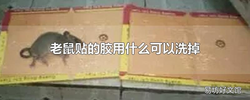 老鼠贴的胶用什么可以洗掉