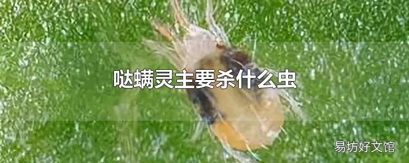 哒螨灵主要杀什么虫