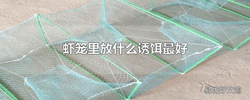 虾笼里放什么诱饵最好