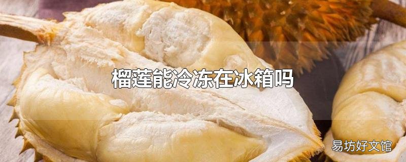 榴莲能冷冻在冰箱吗