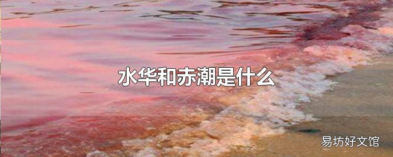 水华和赤潮是什么