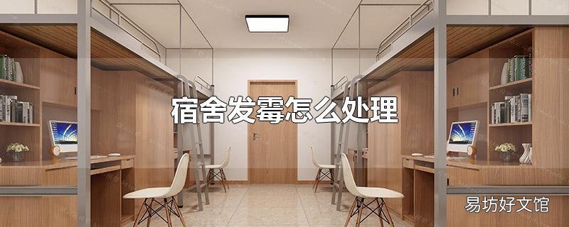 宿舍发霉怎么处理
