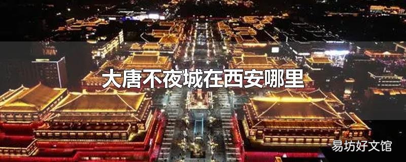 大唐不夜城在西安哪里