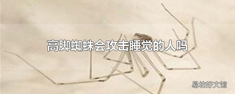 高脚蜘蛛会攻击睡觉的人吗
