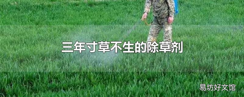 三年寸草不生的除草剂