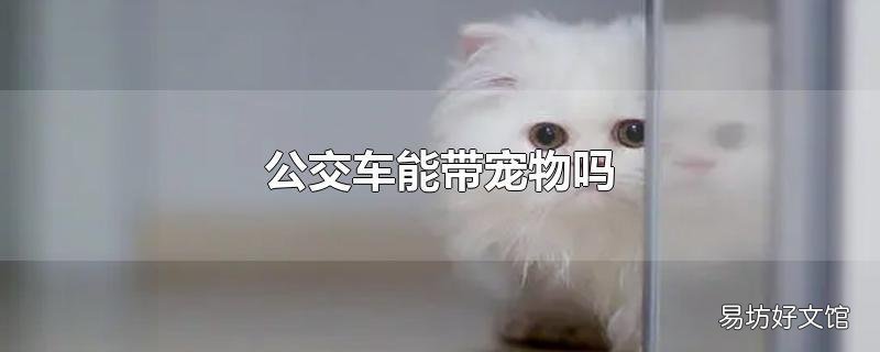 公交车能带宠物吗