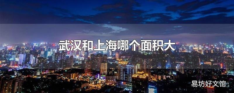 武汉和上海哪个面积大
