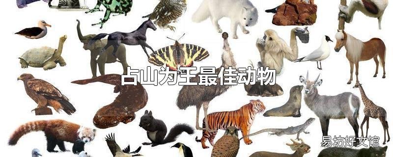 占山为王最佳动物