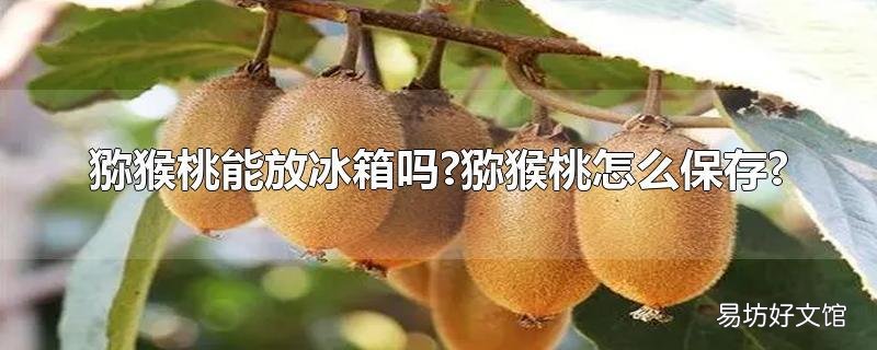 猕猴桃能放冰箱吗?猕猴桃怎么保存?