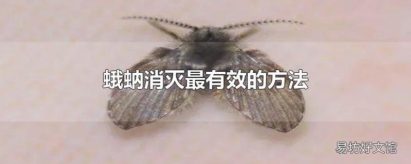 蛾蚋消灭最有效的方法