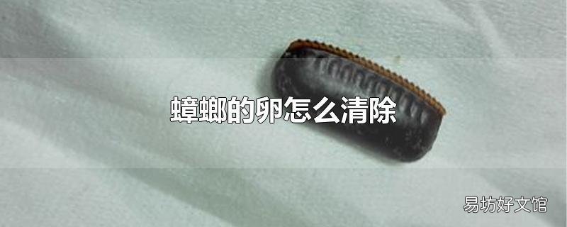 蟑螂的卵怎么清除