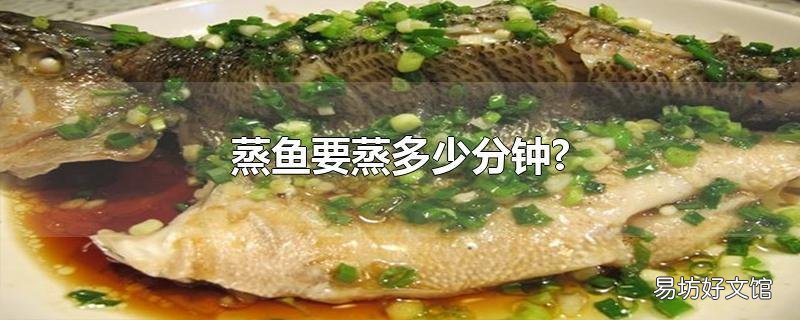 蒸鱼要蒸多少分钟?