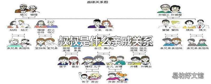 叔叔是什么亲戚关系