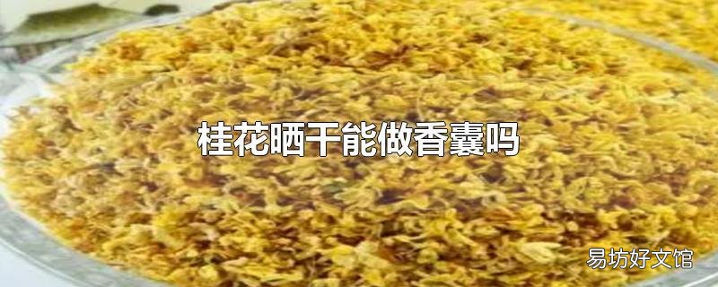 桂花晒干能做香囊吗