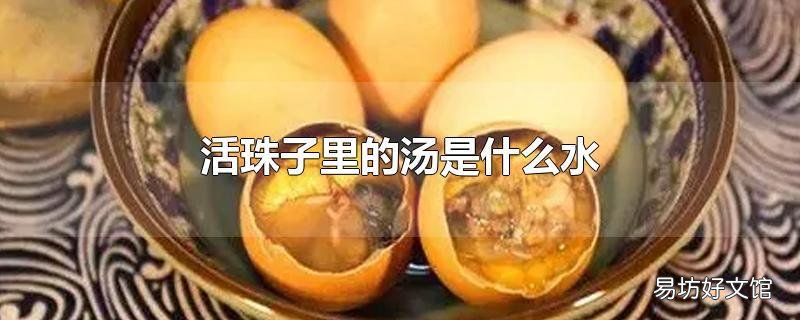 活珠子里的汤是什么水
