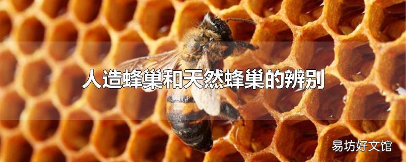 人造蜂巢和天然蜂巢的辨别