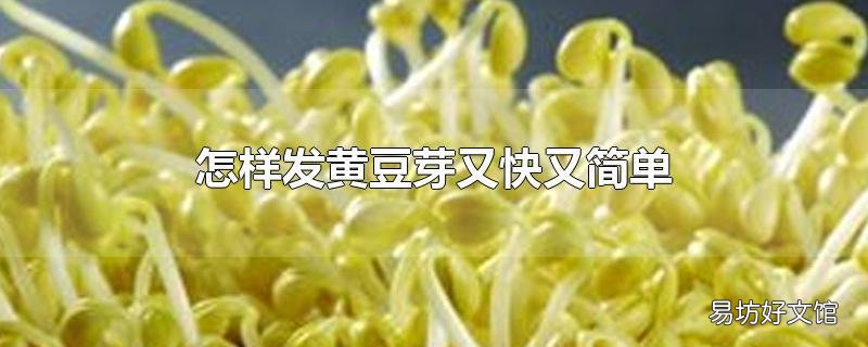 怎样发黄豆芽又快又简单