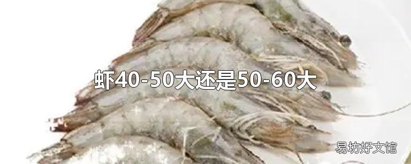 虾40-50大还是50-60大