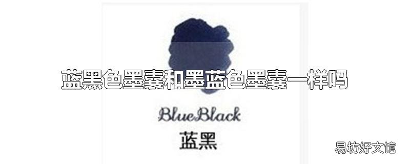 蓝黑色墨囊和墨蓝色墨囊一样吗