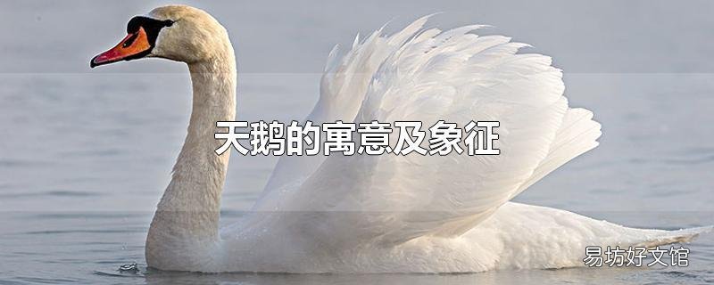天鹅的寓意及象征