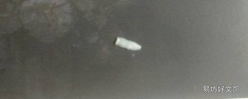 白色扁扁的虫子是什么