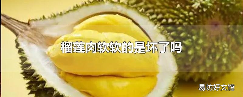 榴莲肉软软的是坏了吗