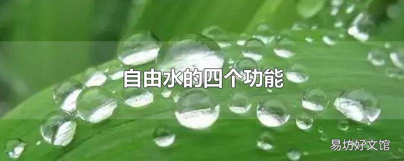 自由水的四个功能