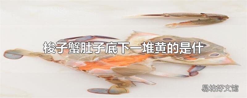 梭子蟹肚子底下一堆黄的是什么