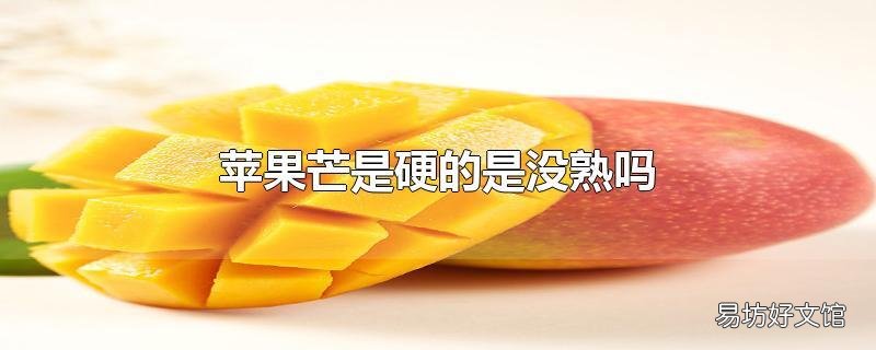 苹果芒是硬的是没熟吗